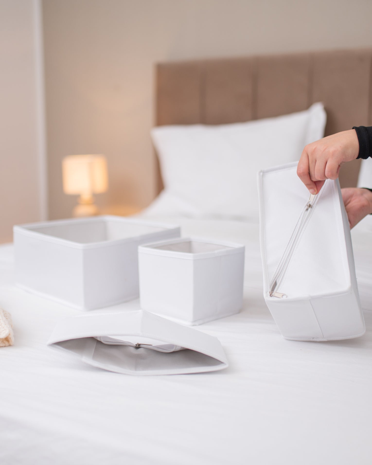 Set Organisateur